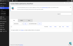 Page screenshot: Media &rarr; Custom Media