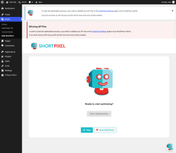 Page screenshot: Media &rarr; Bulk ShortPixel
