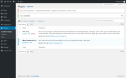 Page screenshot: Plugins &lsaquo; Test site &mdash; WordPress