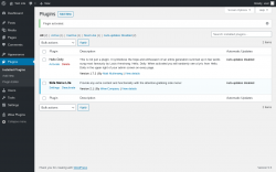 Page screenshot: Plugins &lsaquo; Test site &mdash; WordPress