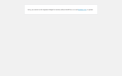 Page screenshot: WordPress &rsaquo; Error