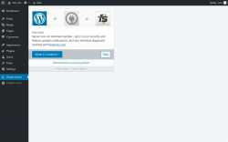 Page screenshot: Simple Author Box ‹ Test site — WordPress