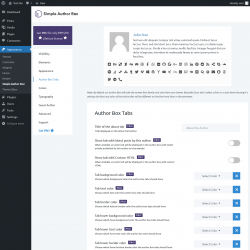 Page screenshot: Appearance → Simple Author Box → Author Box Tabs