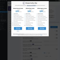 Page screenshot: Appearance → Simple Author Box
