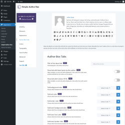 Page screenshot: Appearance → Simple Author Box → Author Box Tabs