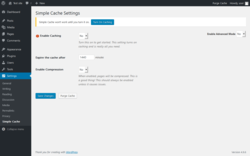 Page screenshot: Settings  → Simple Cache