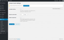 Page screenshot: Settings → Simple Cache