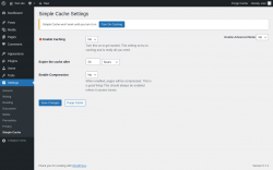 Page screenshot: Settings → Simple Cache