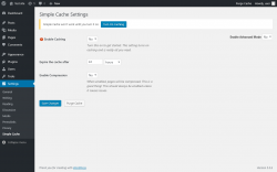 Page screenshot: Settings  → Simple Cache