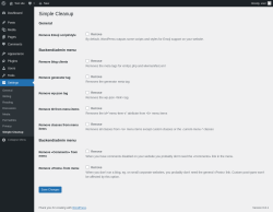 Page screenshot: Settings &rarr; Simple Cleanup