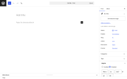 Page screenshot: Add Post &lsaquo; Test site &mdash; WordPress