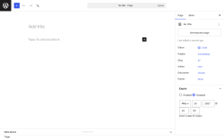 Page screenshot: Add Page &lsaquo; Test site &mdash; WordPress