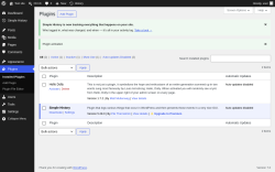 Page screenshot: Plugins &lsaquo; Test site &mdash; WordPress