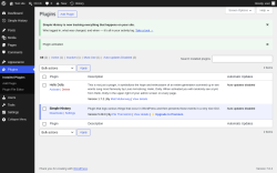 Page screenshot: Plugins &lsaquo; Test site &mdash; WordPress