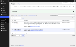 Page screenshot: Plugins &lsaquo; Test site &mdash; WordPress