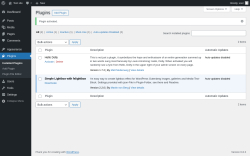 Page screenshot: Plugins &lsaquo; Test site &mdash; WordPress