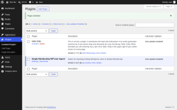 Page screenshot: Plugins &lsaquo; Test site &mdash; WordPress