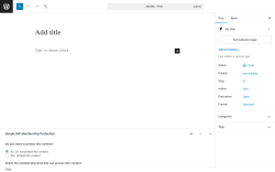 Page screenshot: Add Post ‹ Test site — WordPress