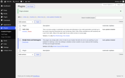 Page screenshot: Plugins &lsaquo; Test site &mdash; WordPress