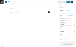 Page screenshot: Add New Post ‹ Test site — WordPress