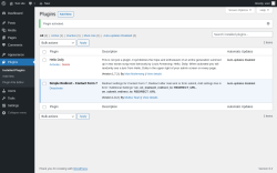 Page screenshot: Plugins &lsaquo; Test site &mdash; WordPress