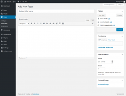 Page screenshot: Add New Page &lsaquo; Test site &mdash; WordPress