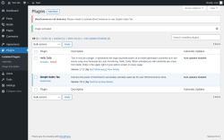 Page screenshot: Plugins &lsaquo; Test site &mdash; WordPress