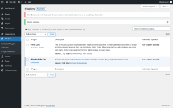 Page screenshot: Plugins &lsaquo; Test site &mdash; WordPress