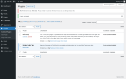 Page screenshot: Plugins &lsaquo; Test site &mdash; WordPress