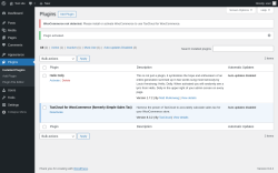 Page screenshot: Plugins &lsaquo; Test site &mdash; WordPress