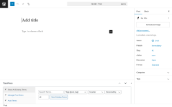Page screenshot: Add Post ‹ Test site — WordPress