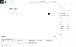 Page screenshot: Add Post ‹ Test site — WordPress