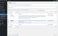 Page screenshot: Plugins &lsaquo; Test site &mdash; WordPress