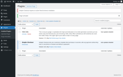 Page screenshot: Plugins ‹ Test site — WordPress
