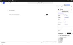 Page screenshot: Add Post &lsaquo; Test site &mdash; WordPress