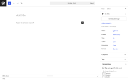 Page screenshot: Add Post &lsaquo; Test site &mdash; WordPress