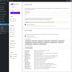Page screenshot: Simply Static → Settings