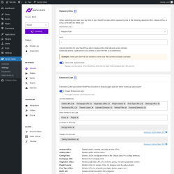 Page screenshot: Simply Static → Settings