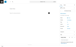 Page screenshot: Add Post ‹ Test site — WordPress