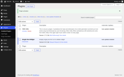 Page screenshot: Plugins &lsaquo; Test site &mdash; WordPress