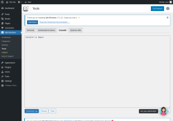 Page screenshot: Site Reviews  → Tools → Console