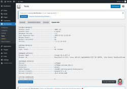 Page screenshot: Site Reviews  → Tools → System Info