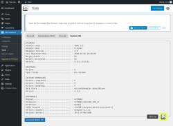 Page screenshot: Site Reviews  &rarr; Tools &rarr; System Info