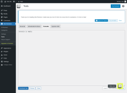 Page screenshot: Site Reviews  &rarr; Tools &rarr; Console