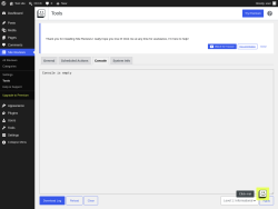Page screenshot: Site Reviews  &rarr; Tools &rarr; Console