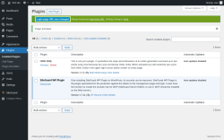 Page screenshot: Plugins &lsaquo; Test site &mdash; WordPress