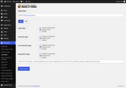 Page screenshot: SiteGuard &rarr; CAPTCHA