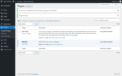 Page screenshot: Plugins &lsaquo; Test site &mdash; WordPress
