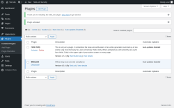 Page screenshot: Plugins &lsaquo; Test site &mdash; WordPress