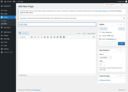 Page screenshot: Add New Page &lsaquo; Test site &mdash; WordPress